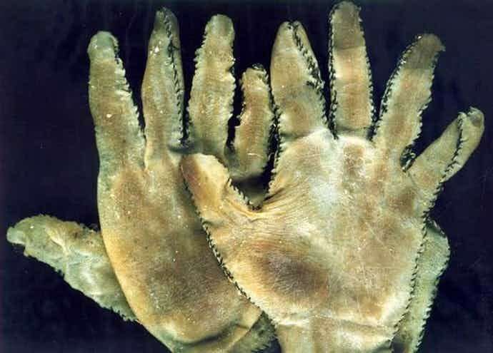 Human skin gloves made by Ed Gein known 'Butcher of Plainfield' or Plainfield Ghoul. He was an American convicted murderer and body snatcher