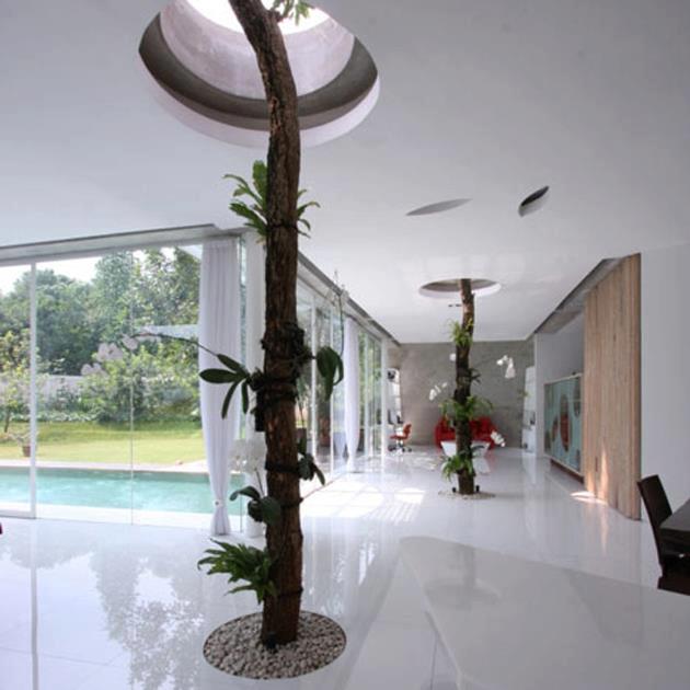Architecture integrated nature in house, building and other development