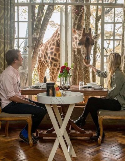 Giraffe Manor, aunique hotel in kenya with live giraffe